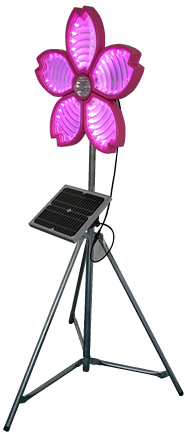 桜サークラー